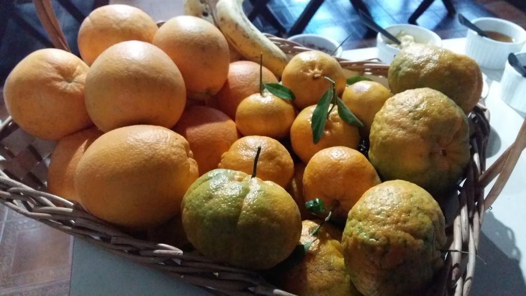 Pousada Três Coroas Kültér fotó